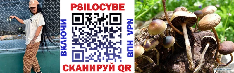 Галлюциногенные грибы Psilocybe  Купить  Вилюйск 